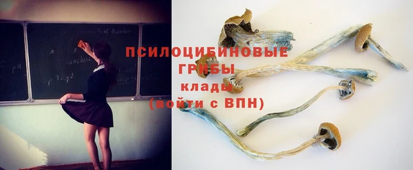 кокс Аркадак