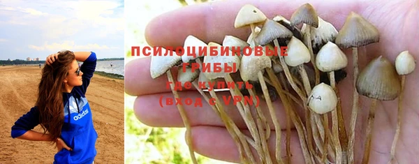 кокс Аркадак