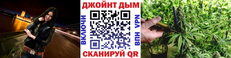Бошки Шишки гибрид  купить наркотики цена  Озёрск 